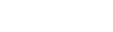 Betsys – IT a sázkové systémy